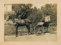 Vintage photograph of a man, horse and wagon by Otto Hillig of Liberty, New York.