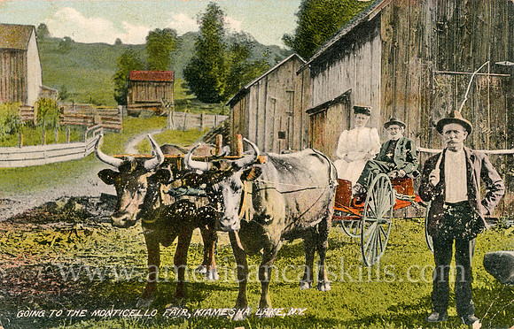 Vintage postcard titled "Going to the Monticello Fair, Kiamesha Lake, N. Y."