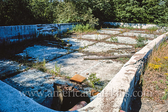Willow Lane Hotel, pool, Monticello, New York (2)