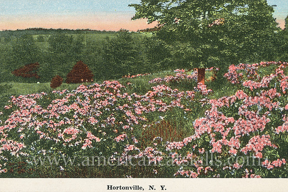Vintage postcard published by photographer Otto Hillig that beautifully depicts the countryside around the hamlet of Hortonville in Sullivan County, New York.