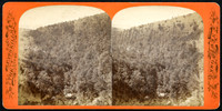 1st Series, #209_Looking down from the Spray House_Loeffler_Catskill Mountain Scenery