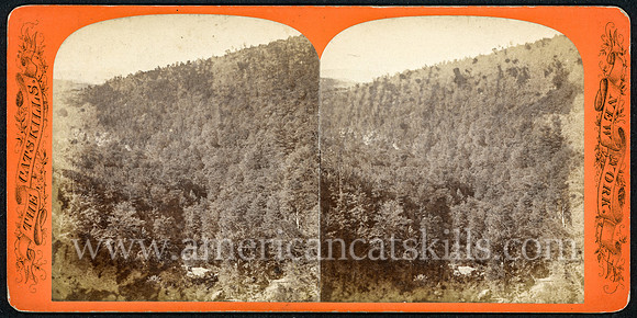 1st Series, #209_Looking down from the Spray House_Loeffler_Catskill Mountain Scenery