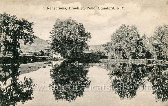 Reflections, Brooklyn Pond, Stamford, N. Y.