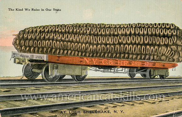 The Kind We Raise in Our State at Loch Sheldrake, N. Y.
