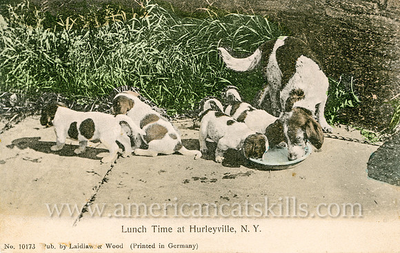 Vintage postcard titled "Lunch Time at Hurleyville, N. Y." published by the photographic firm of Laidlaw and Wood of Hurleyville, New York.