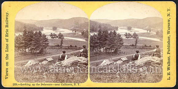 239_Looking up the Delaware, near Callicoon, N.Y.