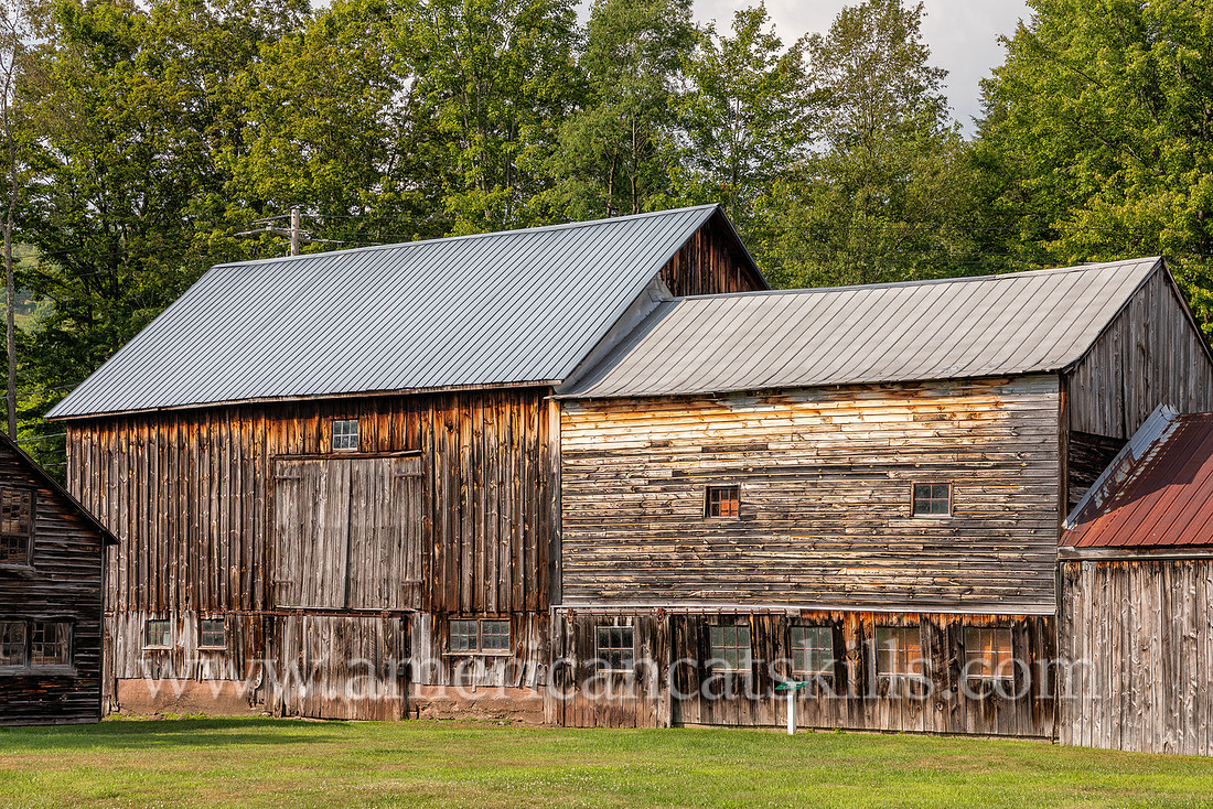 Photographs and history of the Gideon Frisbee House, now home to the Delaware County Historical Association in Delhi, New York.