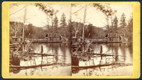 Vintage E. & H. T. Anthony & Co. stereoview #169 titled “The Mill Pond near Laurel House. –Catskill Mountains” from “The Artistic Series.”