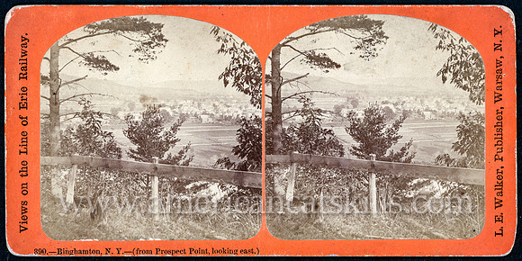 390_Binghamton, N. Y., from Prospect Point, looking east
