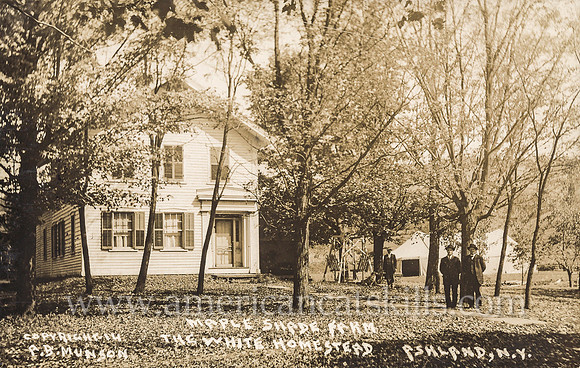 Maple Shade Farm, the White homestead, Ashland, N.Y.