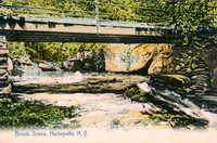 Brook Scene, Hurleyville, N. Y.