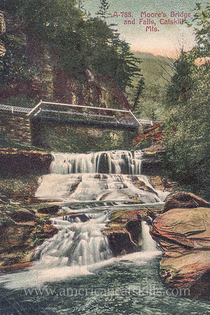 Moore's Bridge and Falls, Catskill Mts.