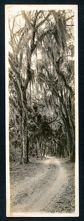 Ridgewood Avenue, Daytona, Florida