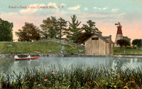 Finch's Pond, Cairo, Catskill Mts., N. Y.