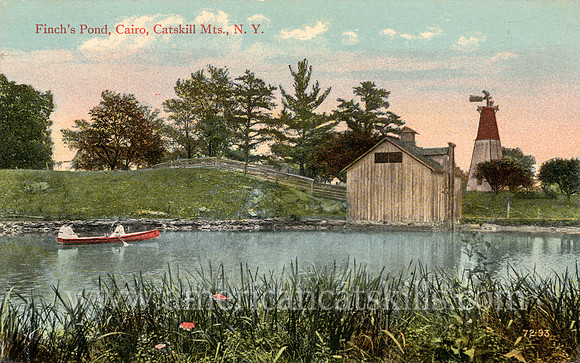 Finch's Pond, Cairo, Catskill Mts., N. Y.