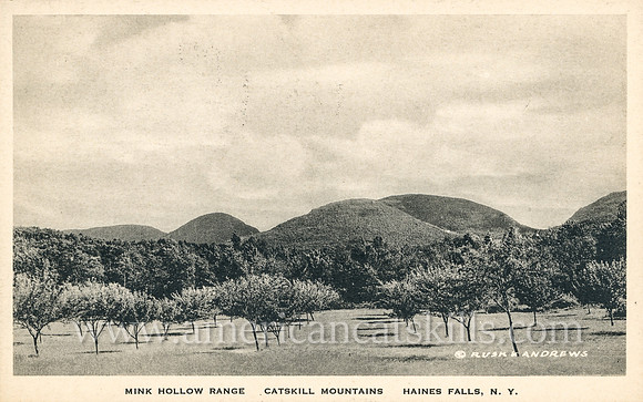 Mink Hollow Range, Catskill Mountains, Haines Falls, N. Y.