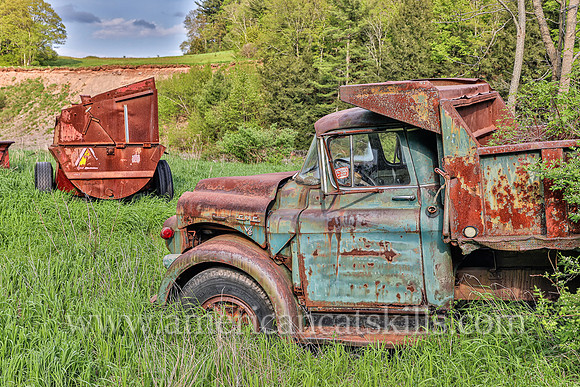 Keep Olive Clean