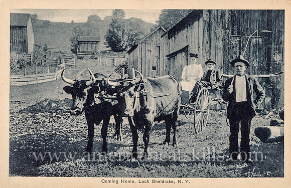 Vintage postcard titled "Coming Home, Loch Sheldrake, N. Y." published by photographer L. G. Laidlaw of Loch Sheldrake, New York.