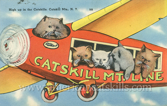 Vintage postcard titled “High Up in the Catskills” depicting five cats in a plane named “Catskill Mountain Line.”