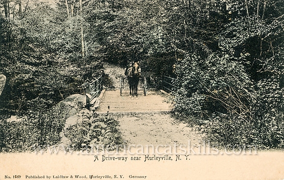 Vintage postcard titled "A Drive-way near Hurleyville, N. Y." published by the photographic firm of Laidlaw and Wood of Hurleyville, New York.