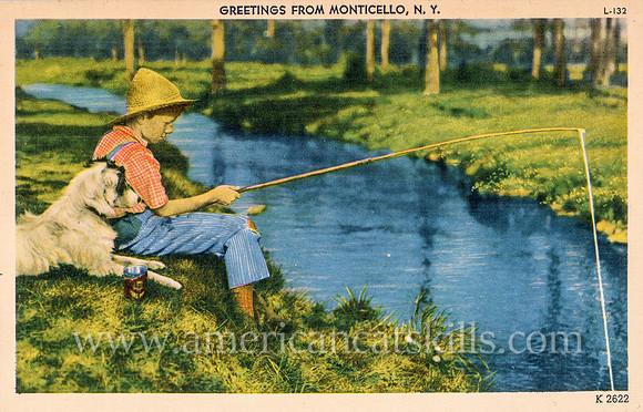 Postcard titled "Greetings from Monticello, N.Y."