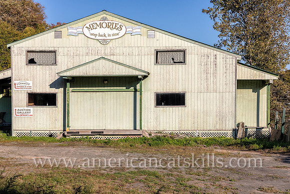 Memories, Parksville, New York
