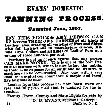 Evans' Domestic Tanning Process, Patented June, 1867