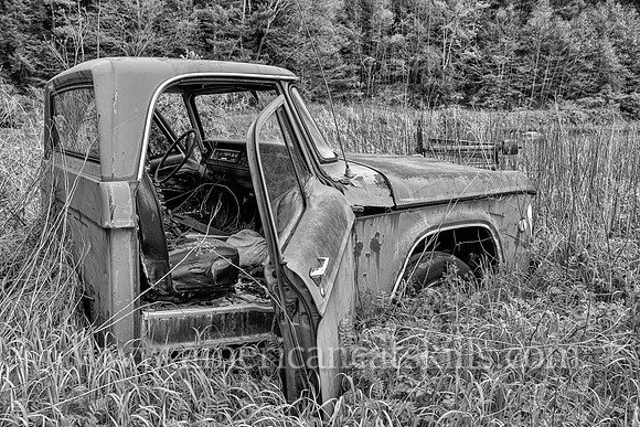 Who's Driving?, B&W