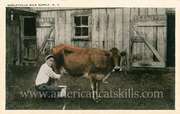 Vintage postcard titled "Hurleyville Milk Supply, N. Y."