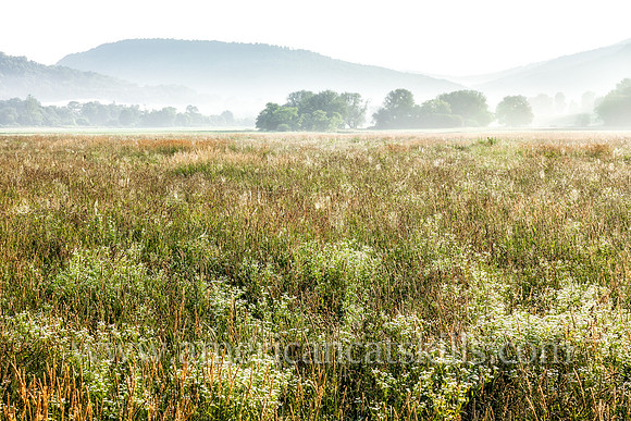 Open field in the countryside near Hamden, New York.