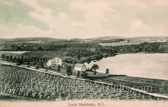 Vintage postcard titled "Loch Sheldrake, N. Y." published by the photographic firm of Laidlaw and Wood of Hurleyville, New York.
