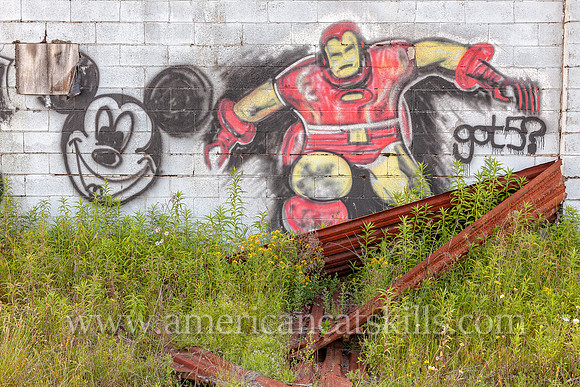 Photograph of the abandoned Apollo Mall in the southern Catskills in the village of Monticello, Sullivan County, New York.