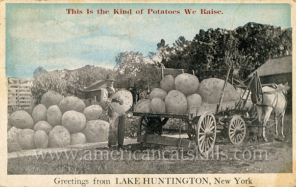 This Is the Kind of Potatoes We Raise, Greetings from Lake Huntington, New York