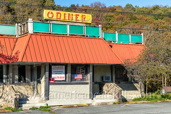 Parksville Diner For Sale