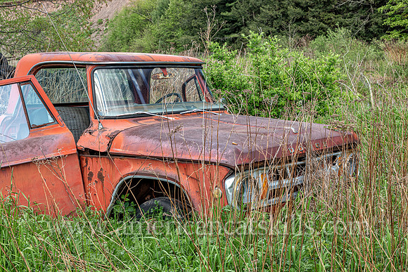 Rusty Dodge