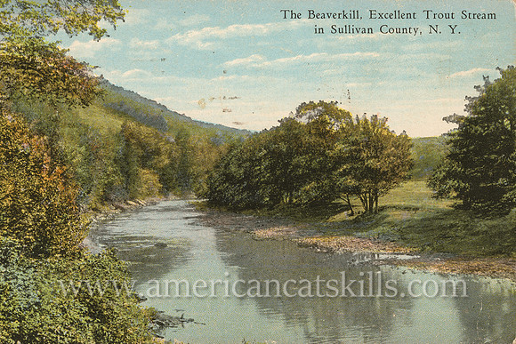 Vintage postcard by photographer Otto Hillig beautifully depicting the famed Beaverkill in Sullivan County, New York.